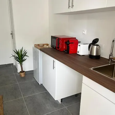 בית נופש Tiny House 4 Min Drive To Cdg Airport רואיסי-אן-פרנס